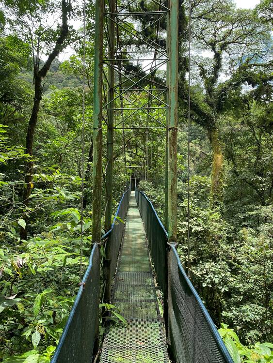 Costa RIca Walk