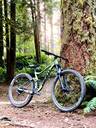 Mountain bike