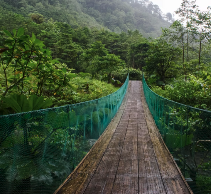 Hanging bridges of Monteverde