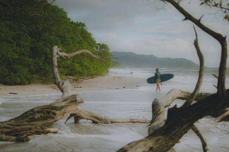 Tamarindo surfer + driftwood - featured