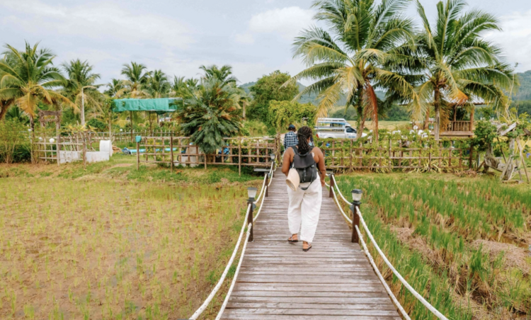 Hilltop Wellness Resort