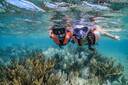 Puerto Morelos Reef National Park