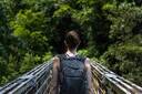 Pipiwai Trail--Bamboo Forest