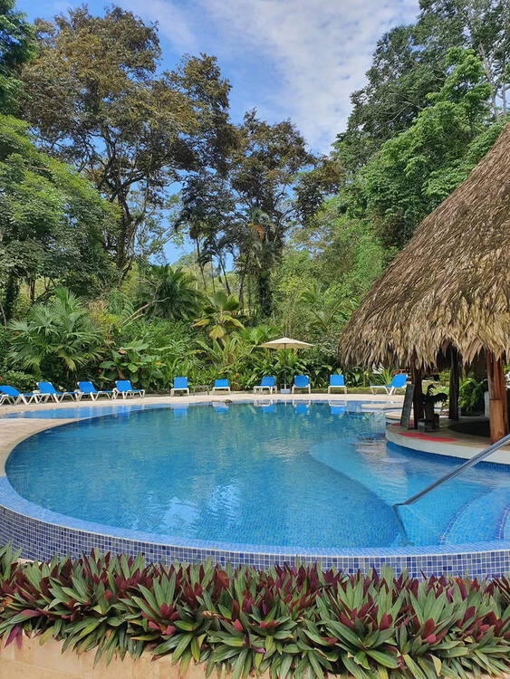 Cariblue Beach and Jungle Resort