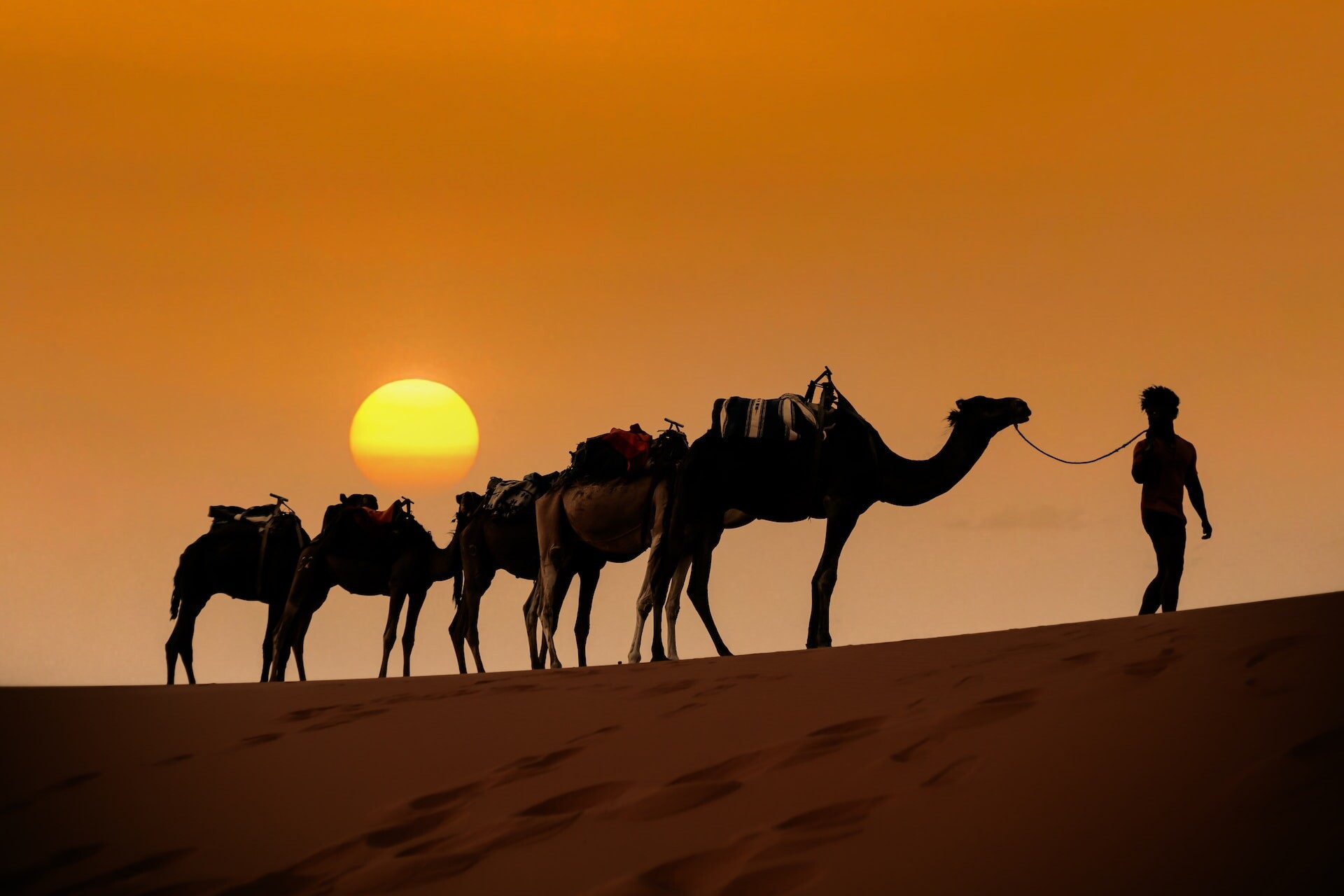 Merzouga Desert