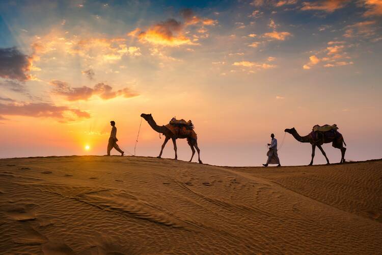 Men with camels in desert