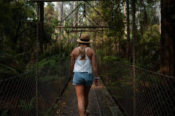 Hanging bridges