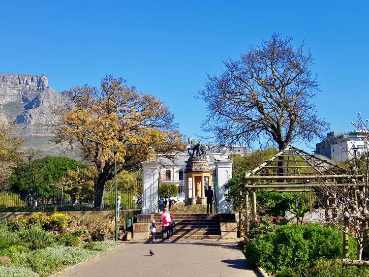 company's garden cape town