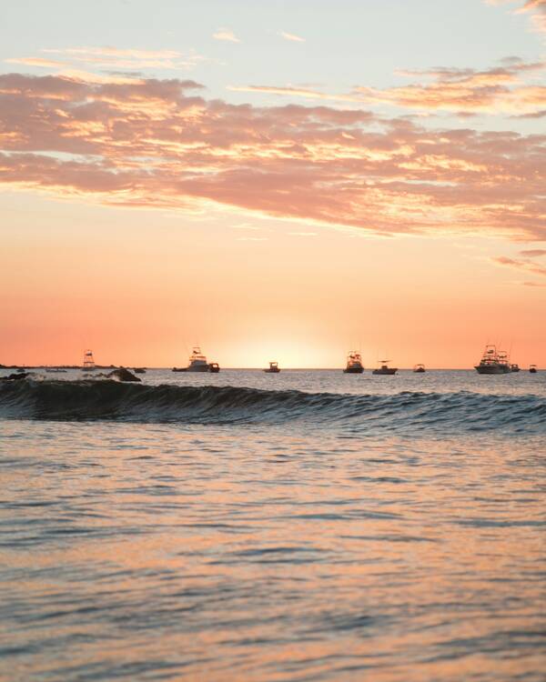 Tamarindo