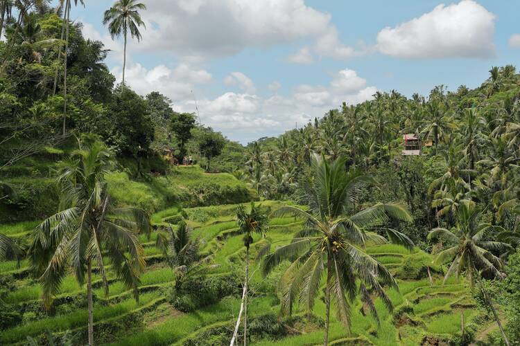 Tegalalang