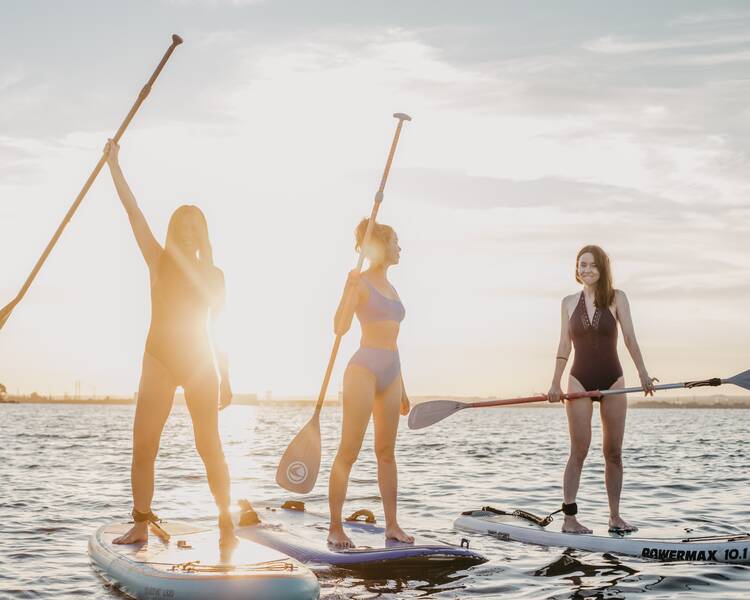 Stand Up Paddle Board
