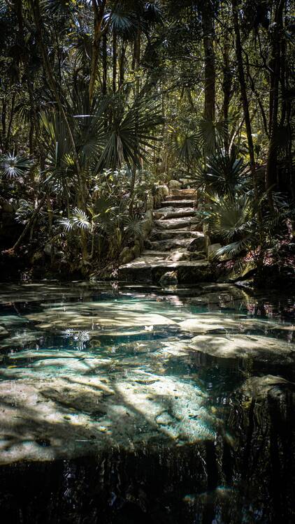 Yucatan cenote