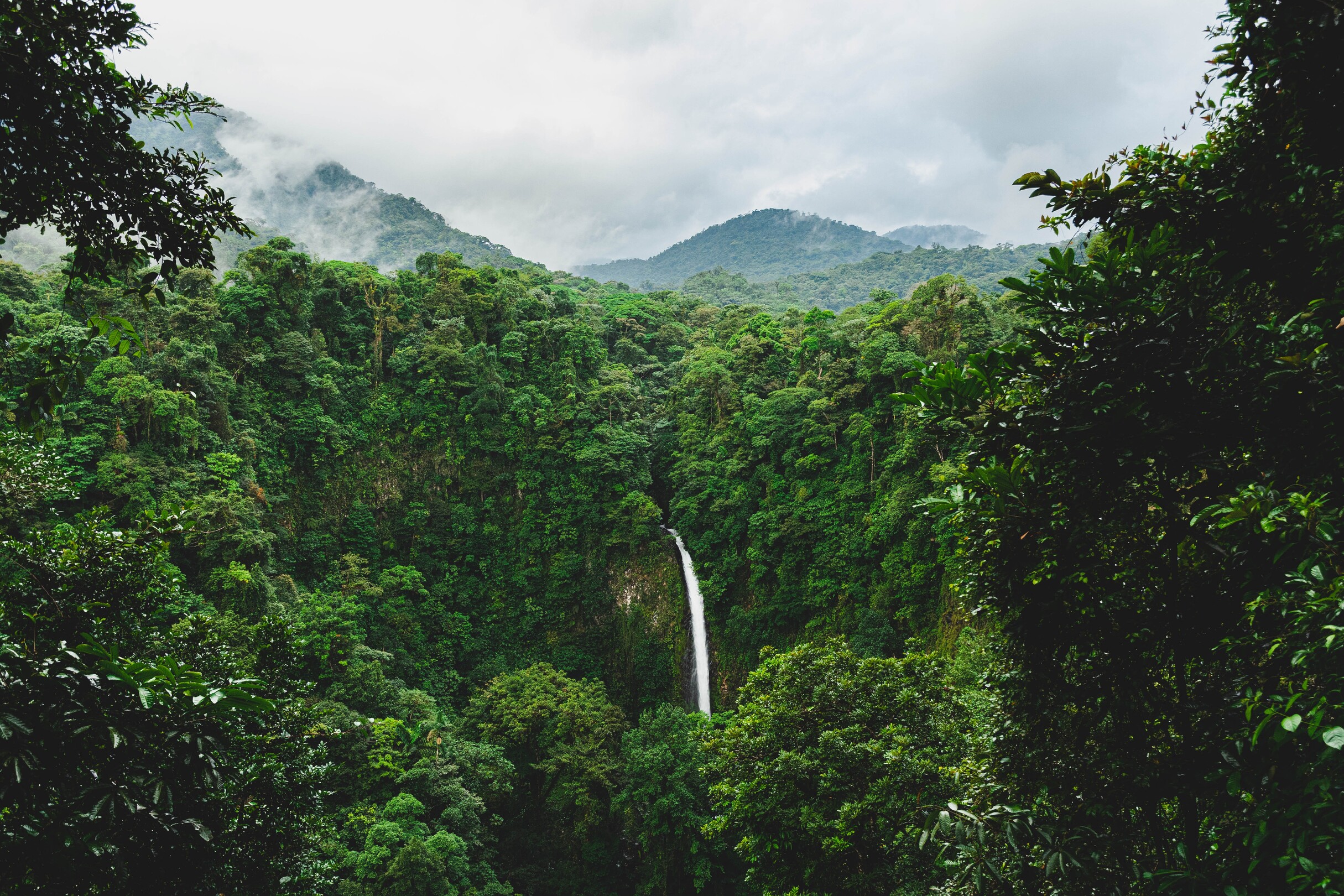 La Fortuna Jungle