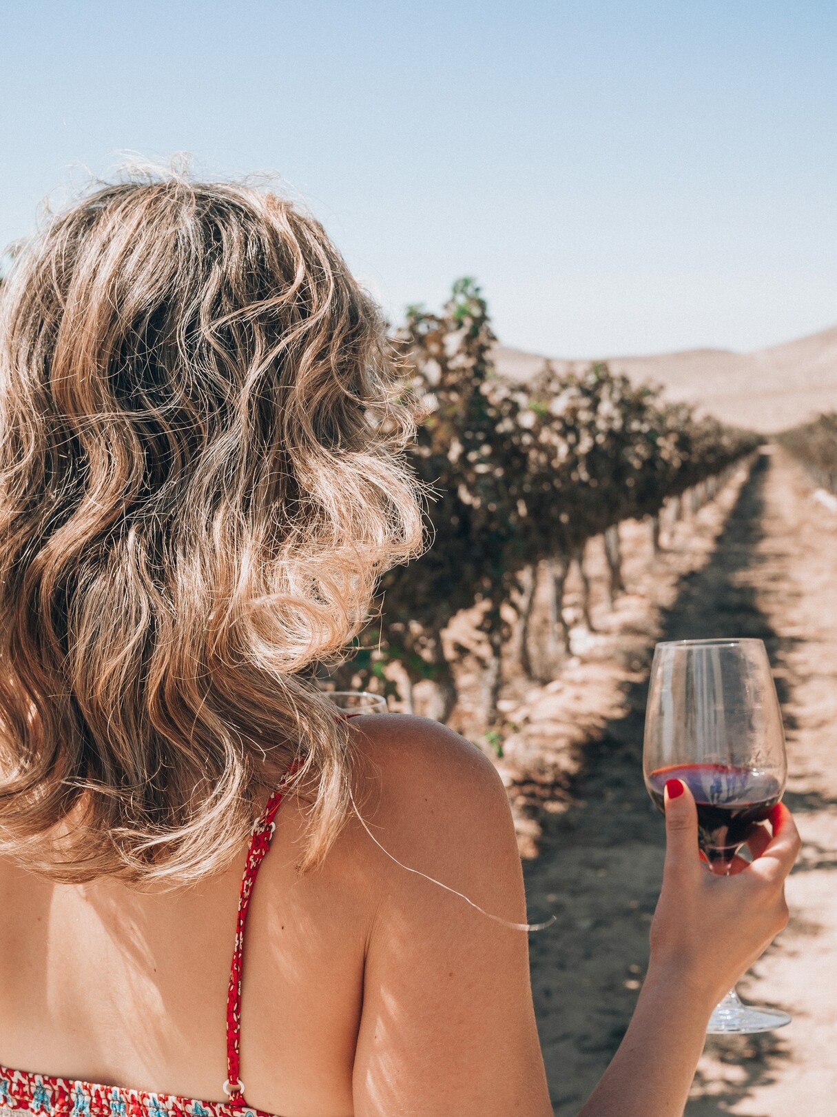 Woman in vineyard with wine