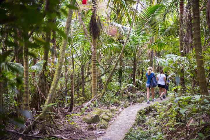 Hiking through El Yunque