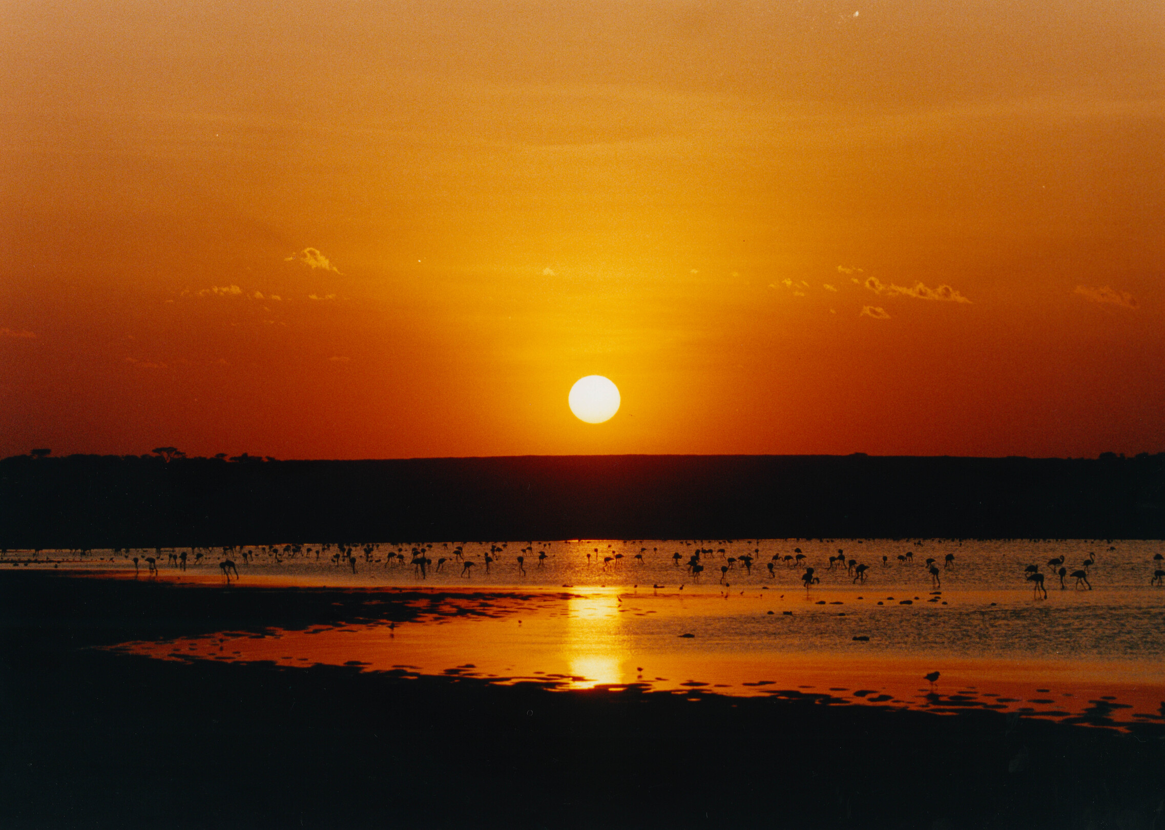 Image provided by hero Michael Sabuni