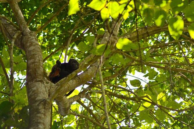 Guayaquil-Nature Trek