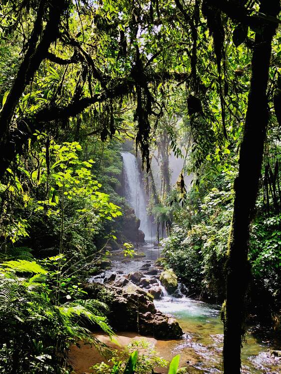 La Paz Waterfall Gardens 