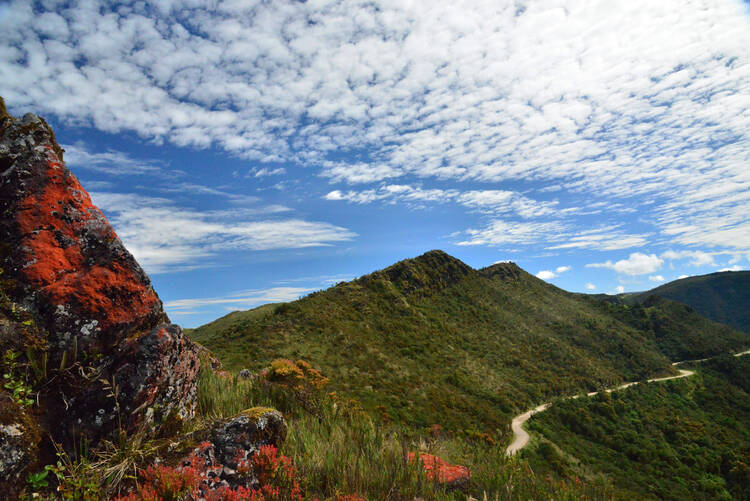 Chingaza National Park morning walk