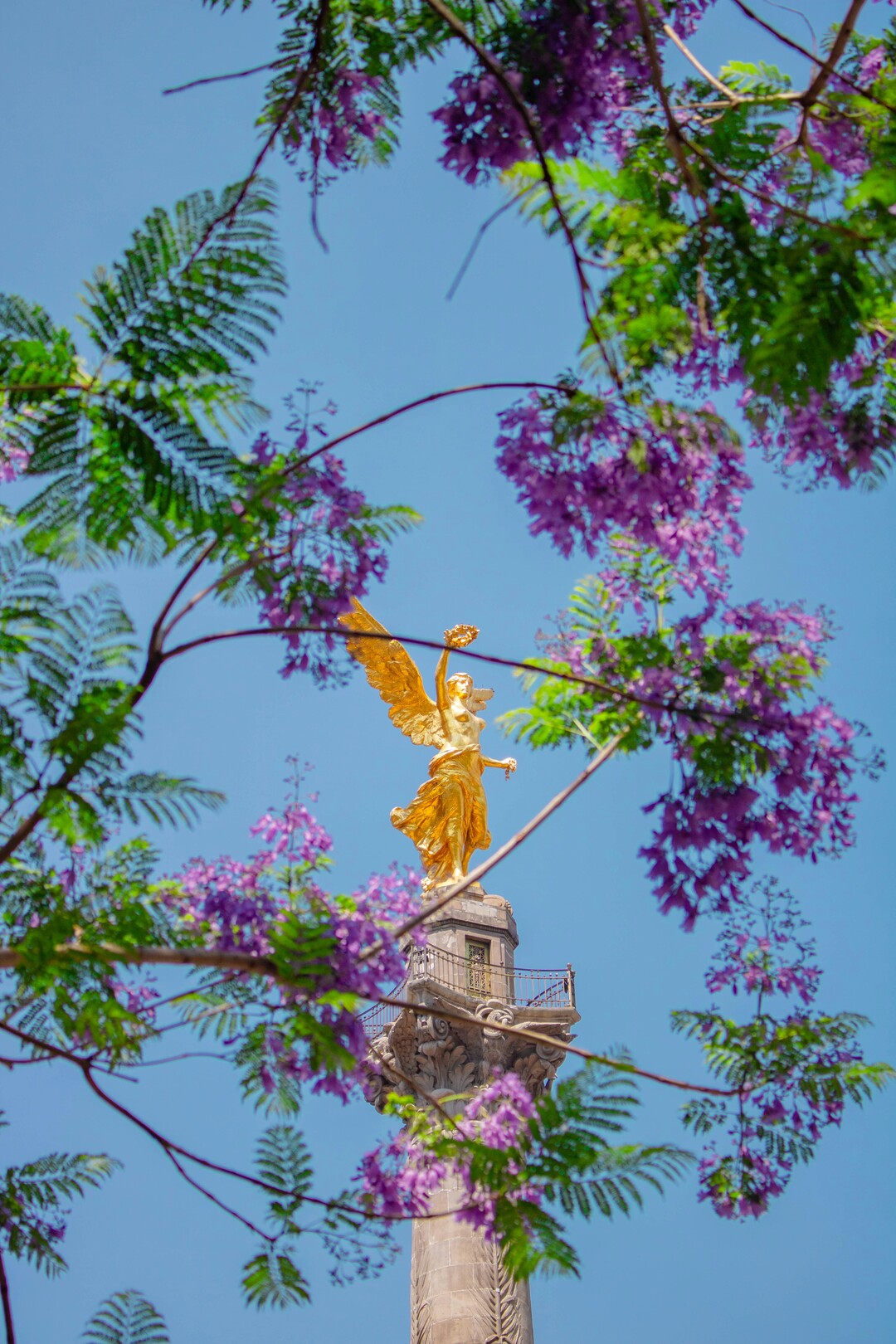 Mexico City Ángel de la Independencia - featured