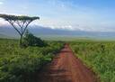 Ngoro Ngoro Crater