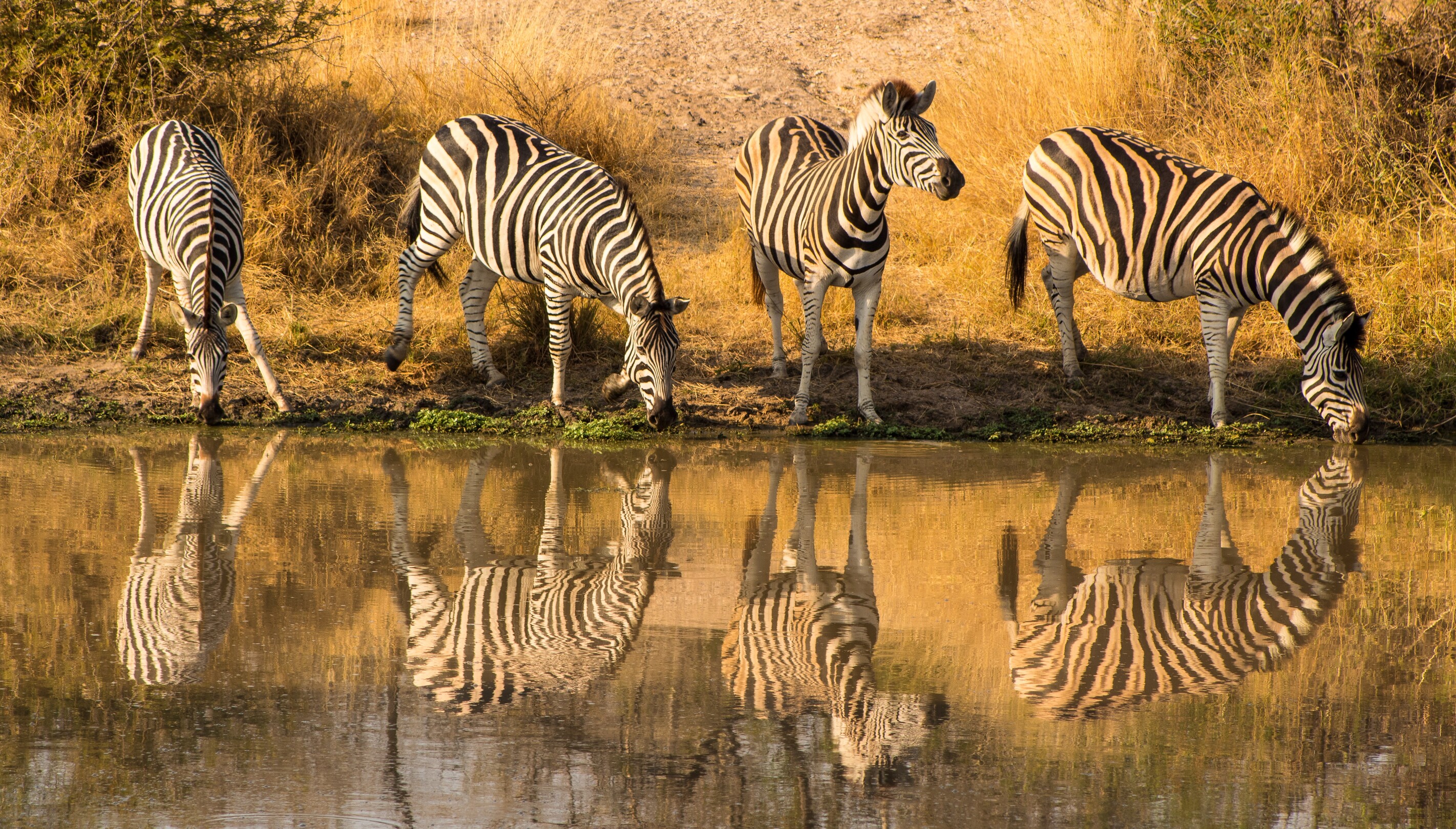 Kruger National Park