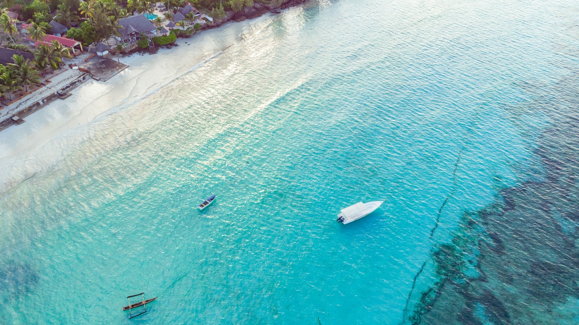 Zanzibar Feature