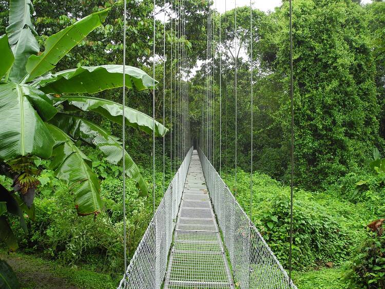 Mistico Hanging Bridges Park