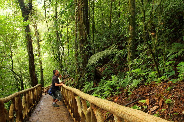 Tenorio Volcano National Park, Costa Rica