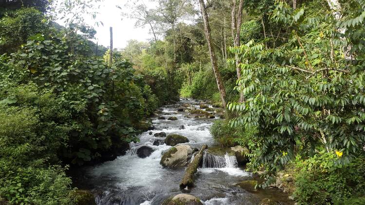 Savegre River San Gerardo de Dota