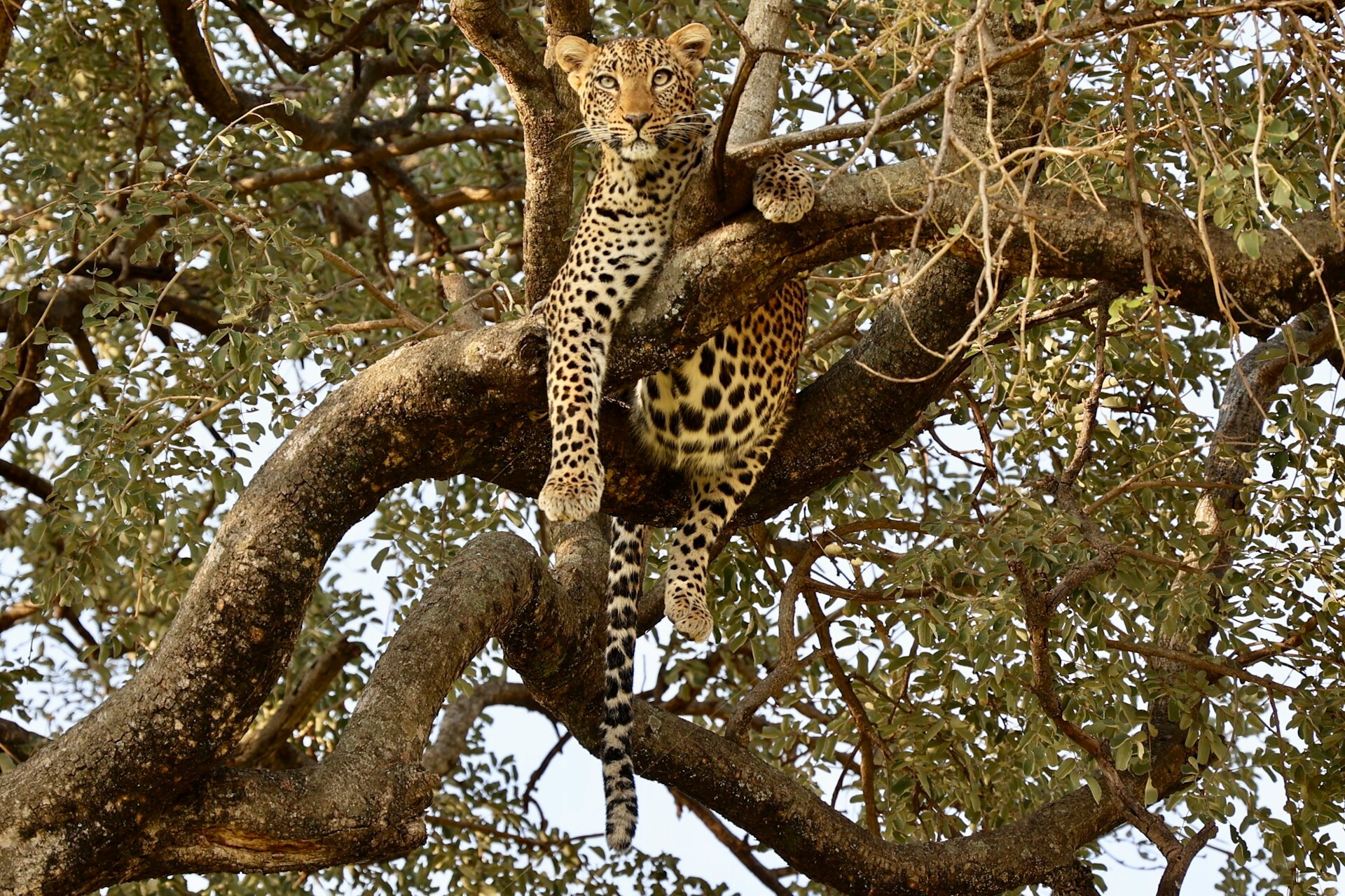 Tarangire National Park