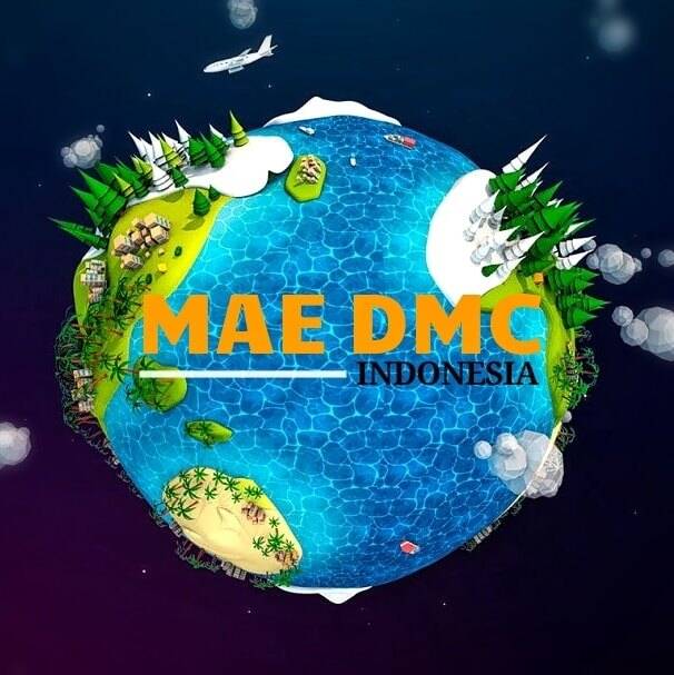 MAE DMC