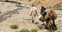 A local man and his donkey in the Atlas Mountains