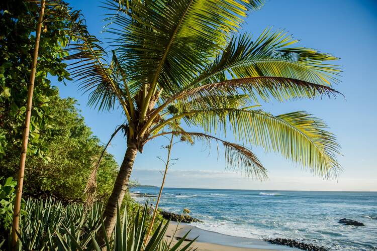 Tamarindo Beach
