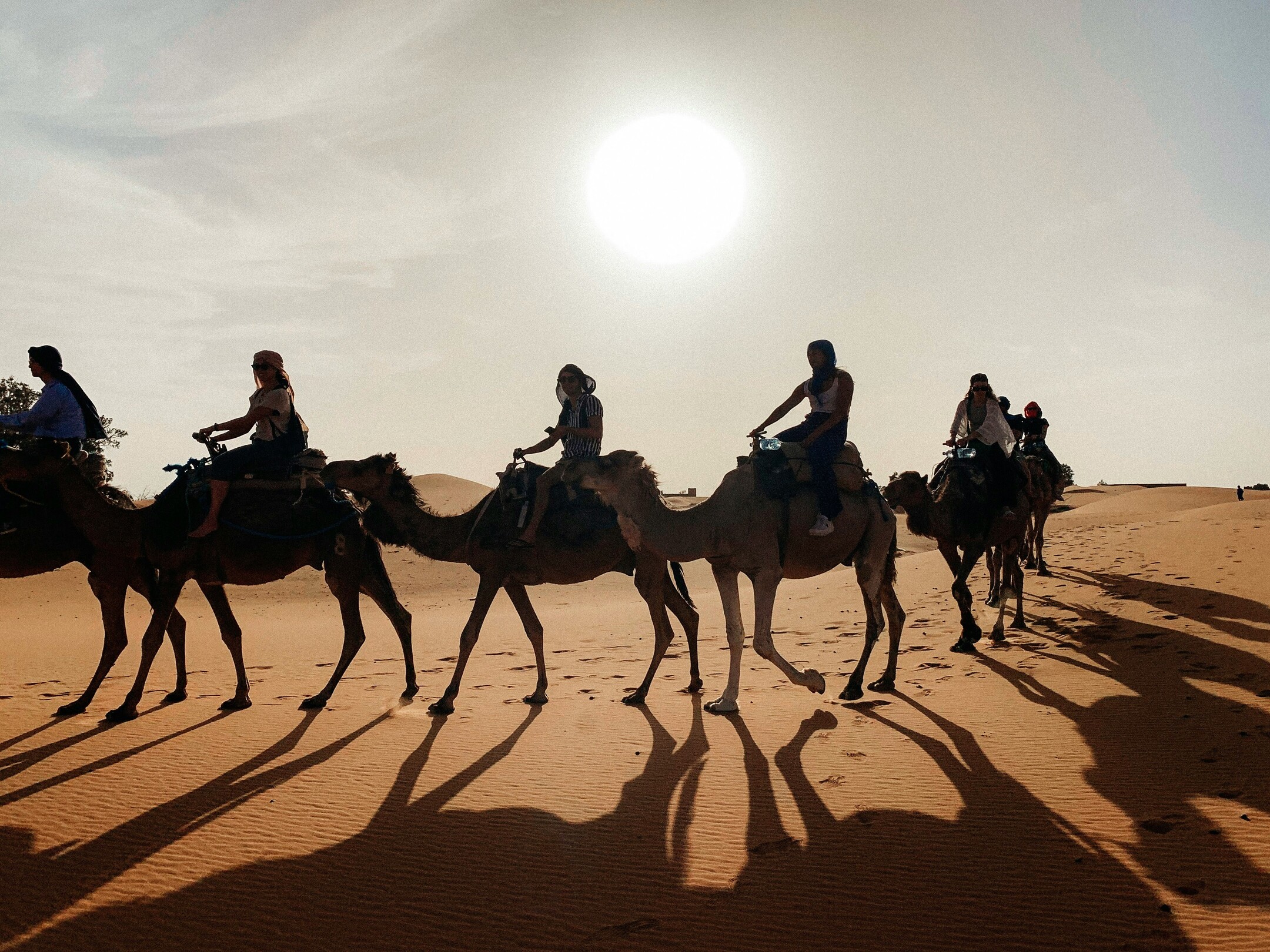 Sahara Desert Camels Morocco - featured