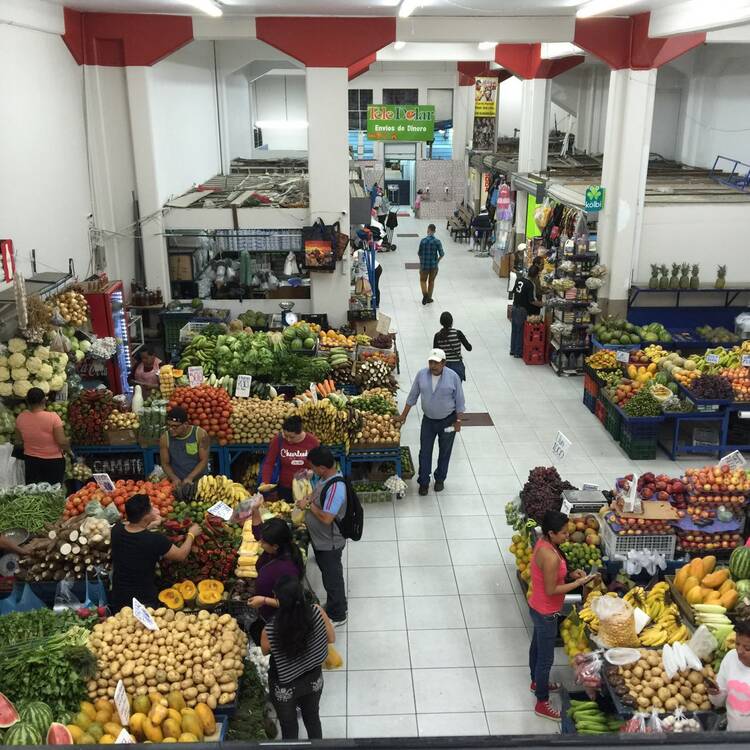 Mercado El Registro