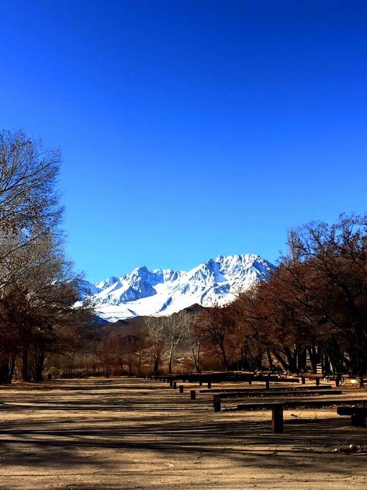 Brown's Millpond Campground