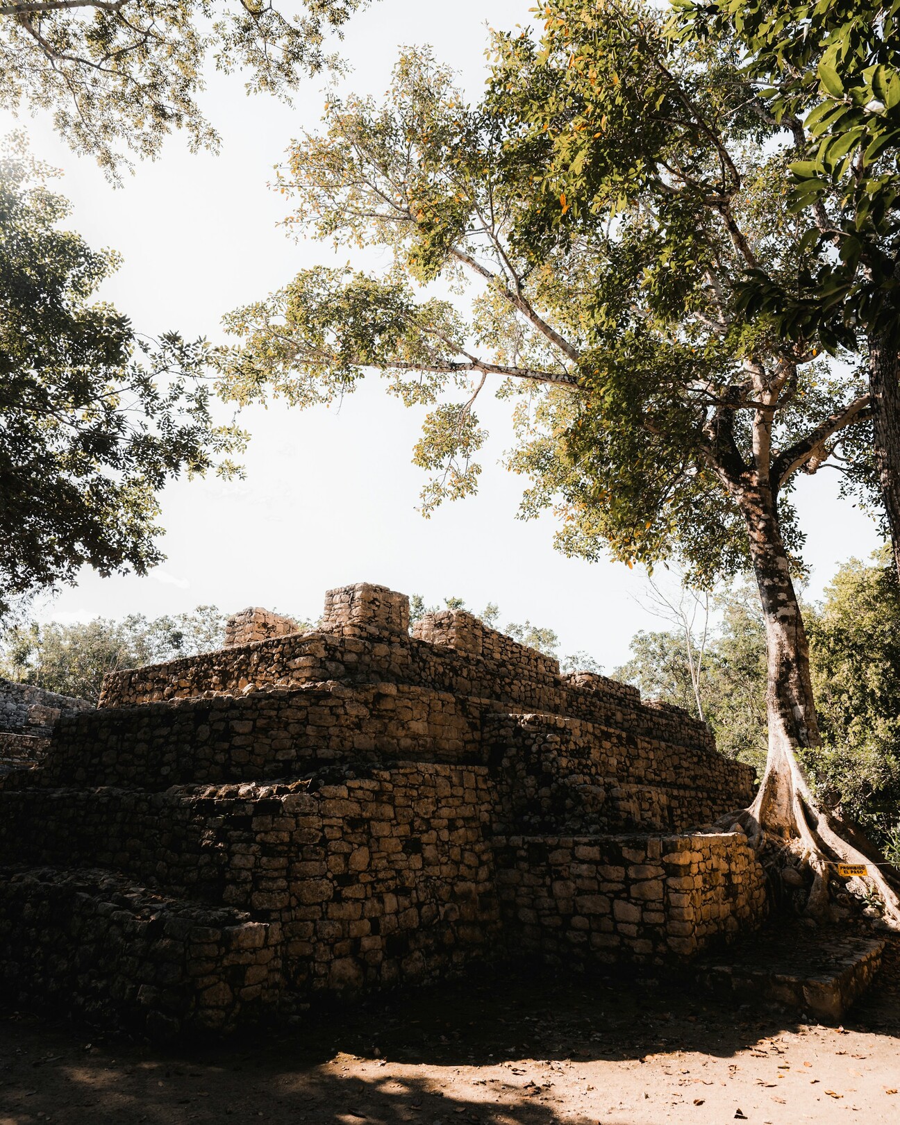 Coba Ruins Feature, Mexico