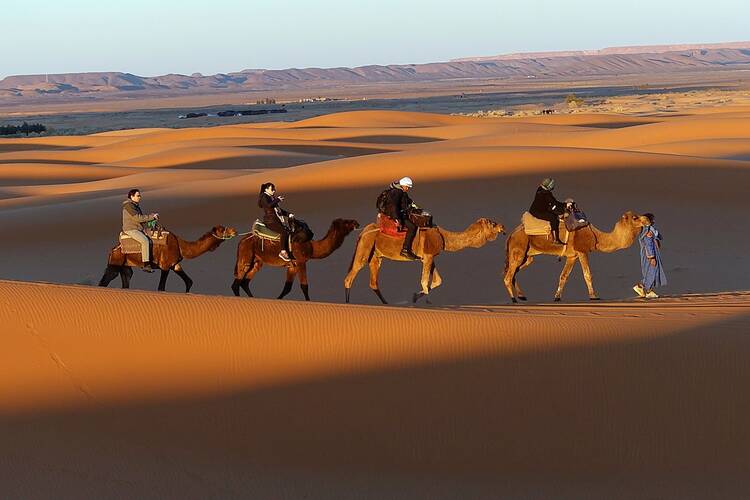 DO NOT USE FOR AGAFAY (wrong location) Camel
