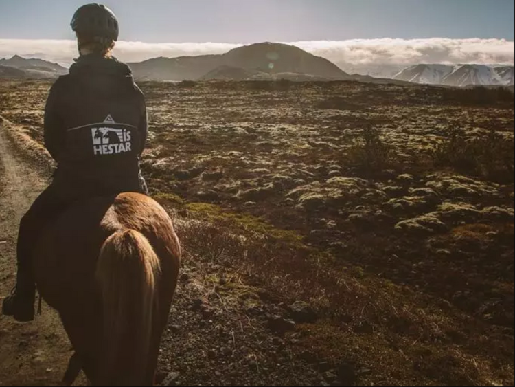 Icelandic Horseback Riding Tour