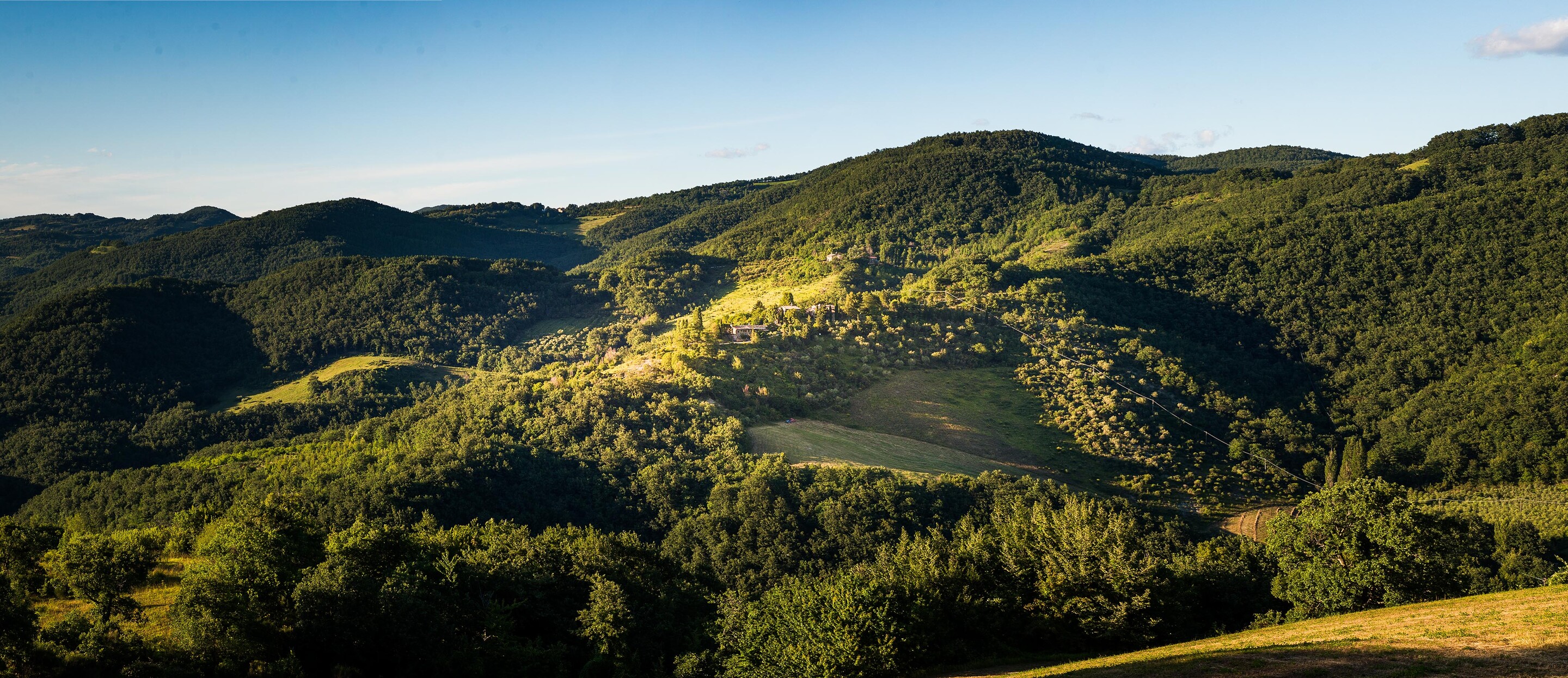 Le Silve di Armenzano