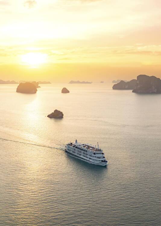 Bhaya Cruise