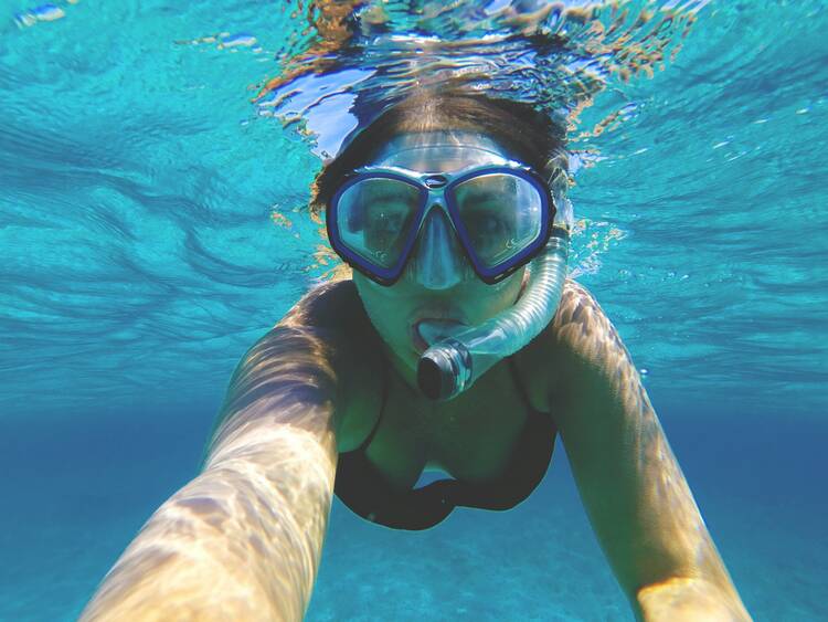 Snorkel Generic 