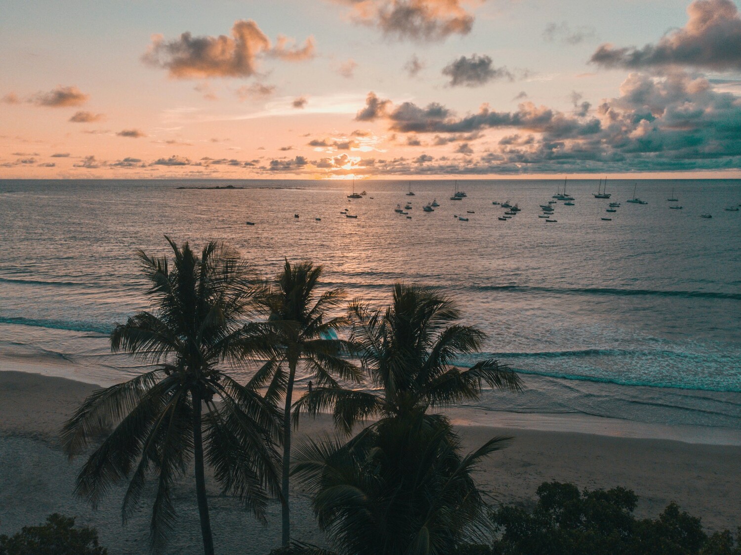 Tamarindo