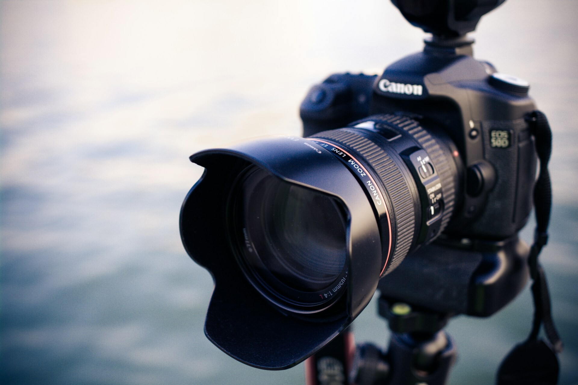 Photography feature