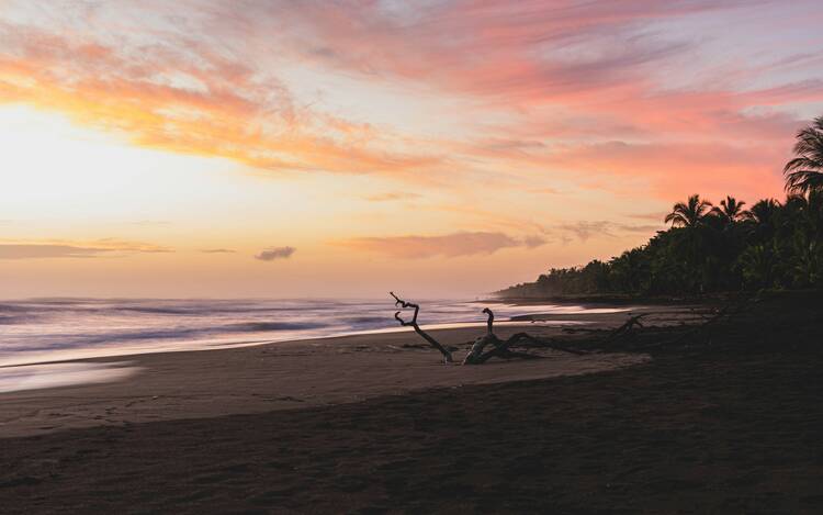 Tortuguero National Park