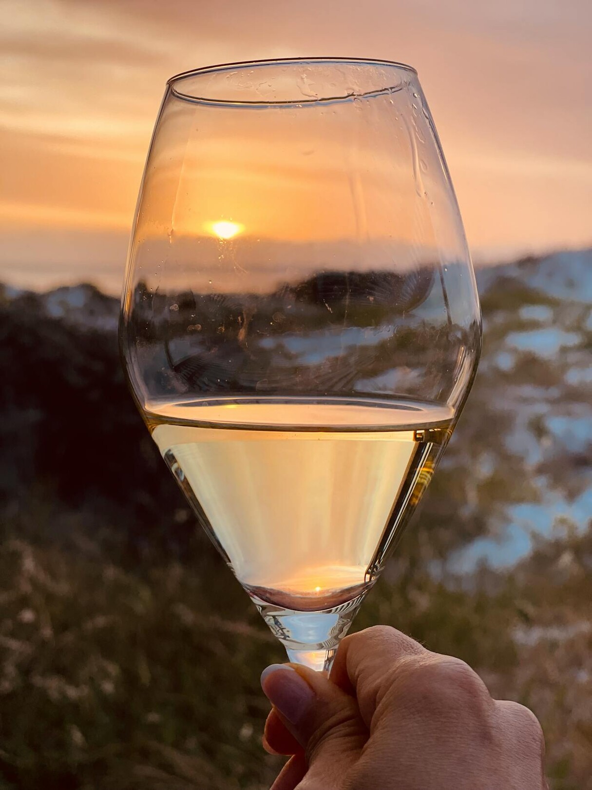 Wine - Cape Town - sunset - feature