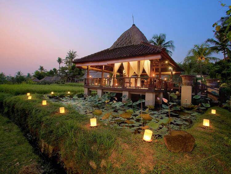 Wapa di Ume Ubud 