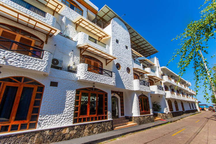 Lobo del Mar