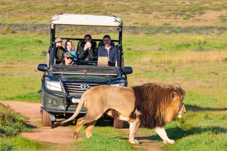 Garden Route Game Lodge Reserve